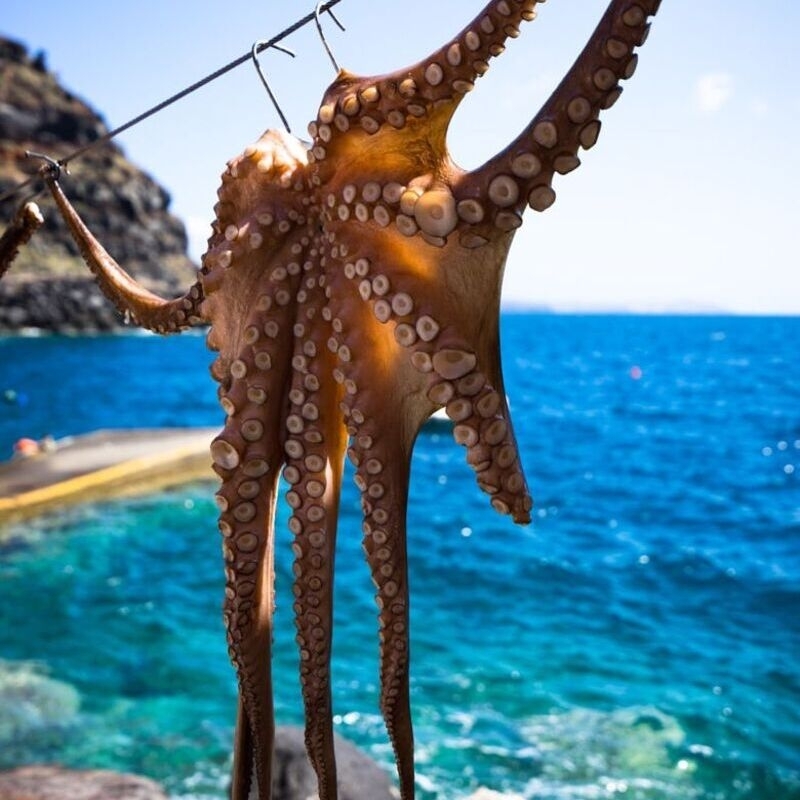 Blue White Boutique - CRETA