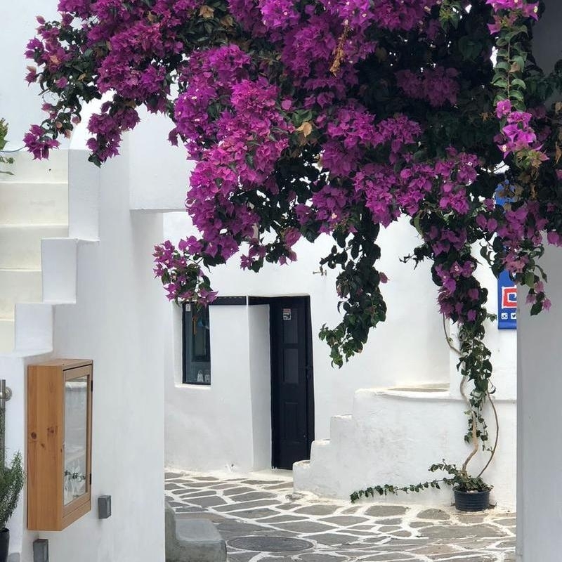 Blue White Boutique - PAROS